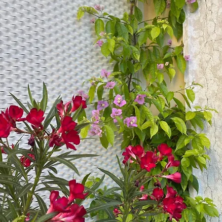 Residenza Betteloni Apartman *