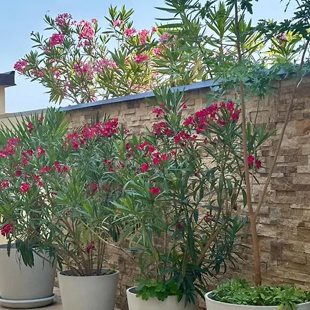 Residenza Betteloni 아파트 바르돌리노